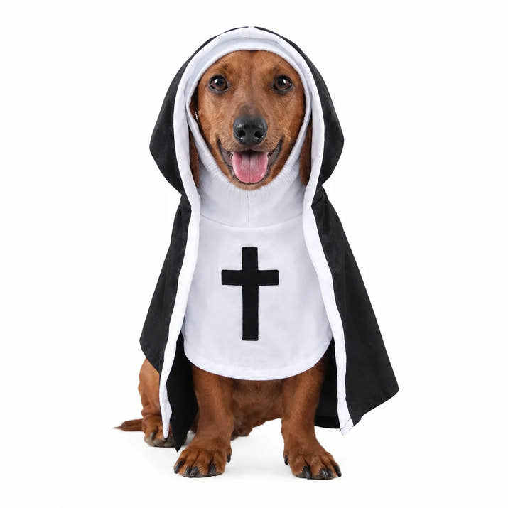 Bellafur™ Holy Pet Costume