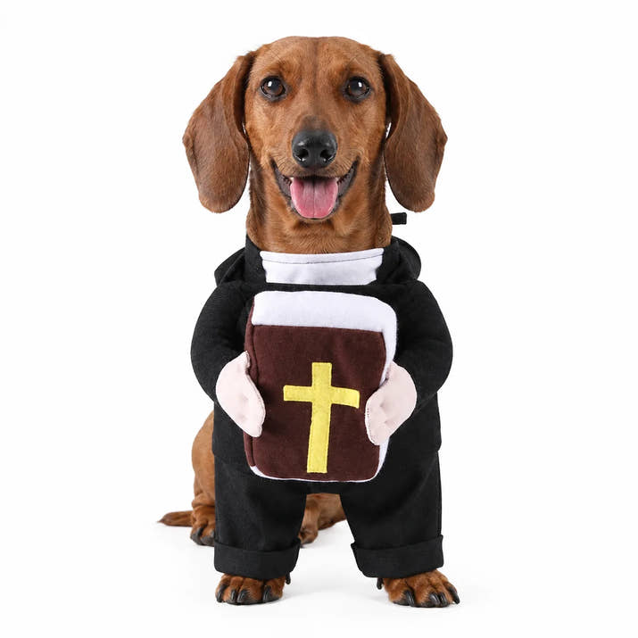 Bellafur™ Holy Pet Costume