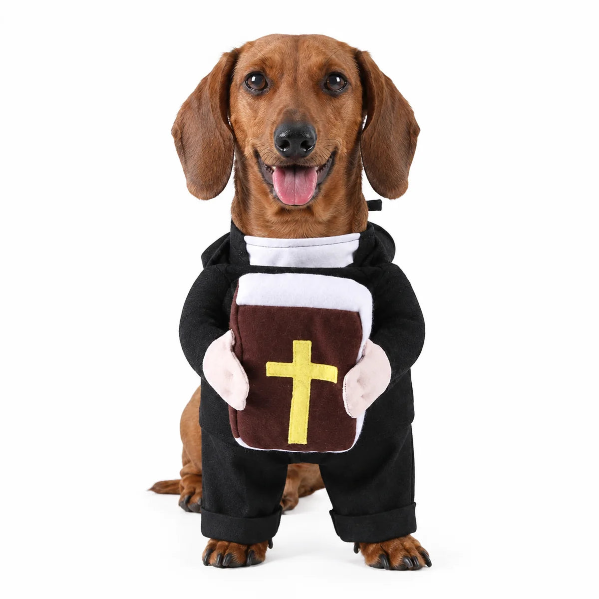 Bellafur™ Holy Pet Costume